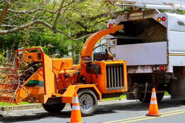 Best Arborist Consultation Services  in Coeburn, VA